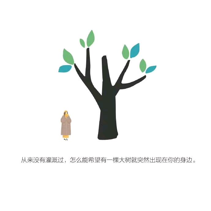 茂林修竹（停播学习中）