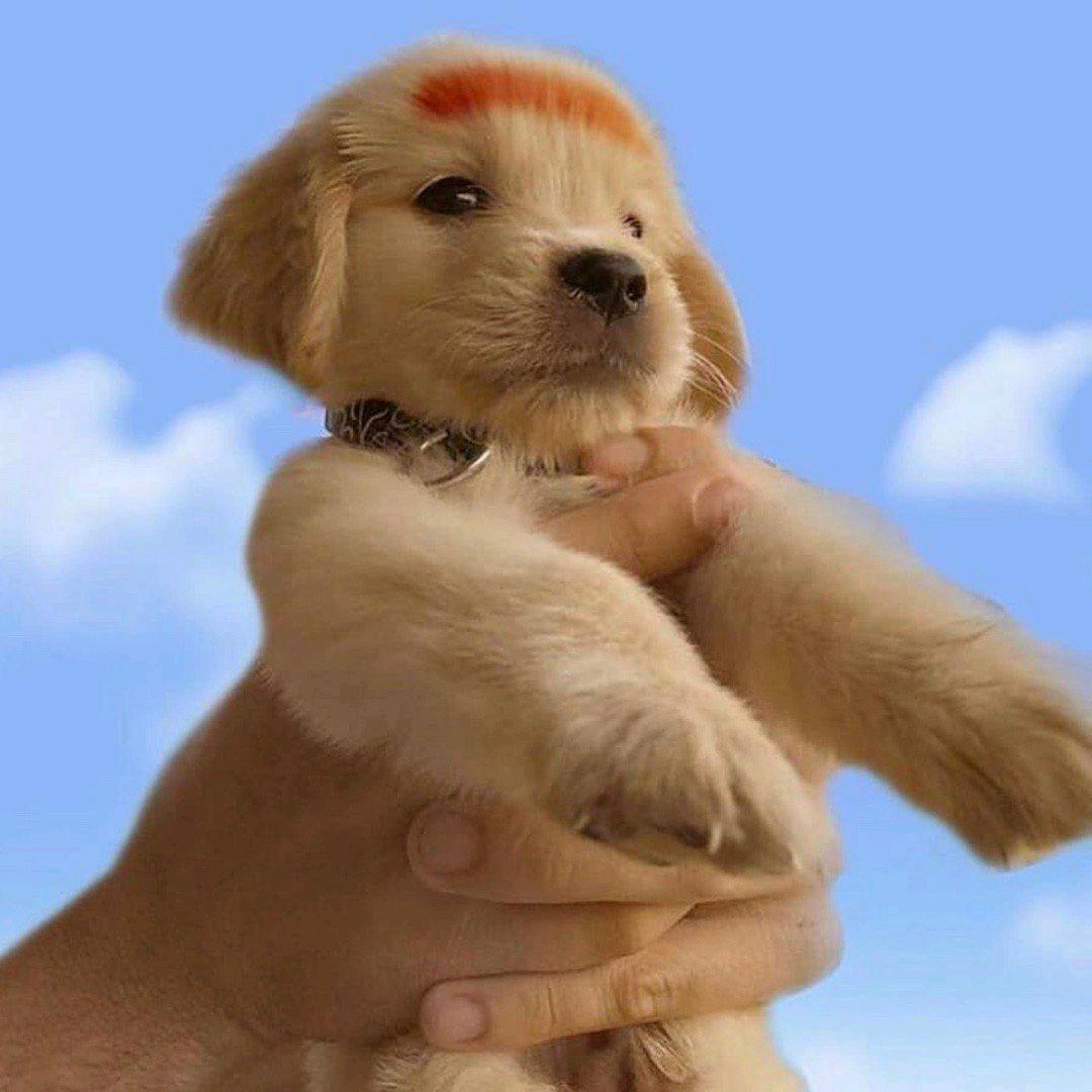 与月同行的Q🌙