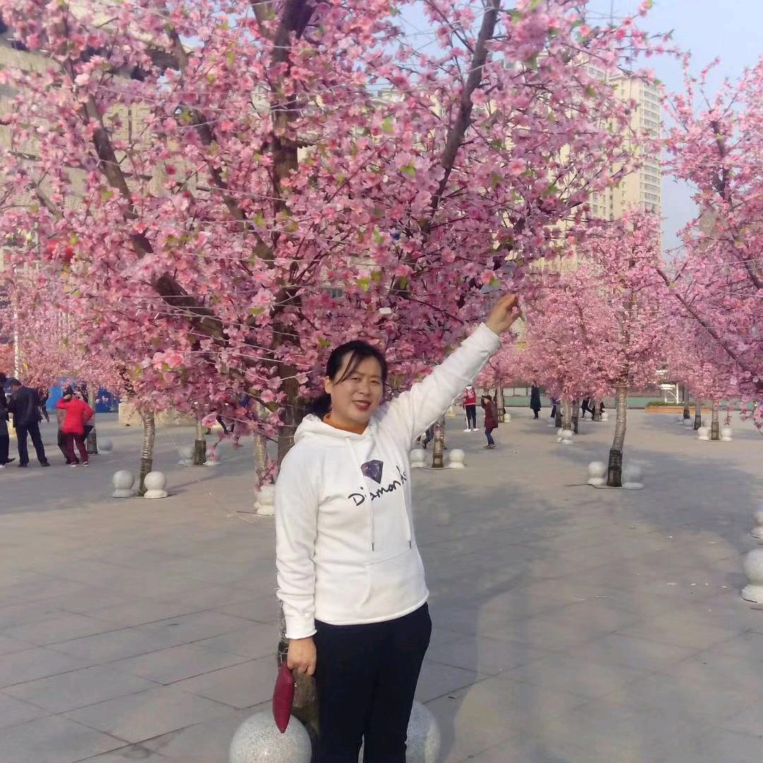 心似莲花向阳开