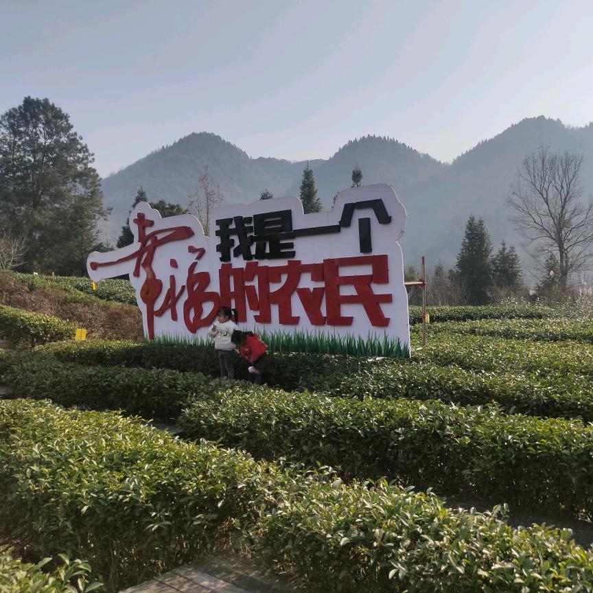 谢锅盖