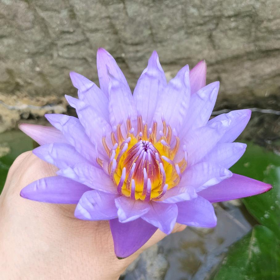 王姐
