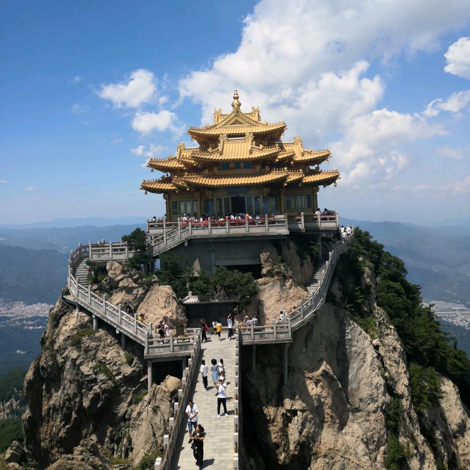 獒翼同心，其利断金！