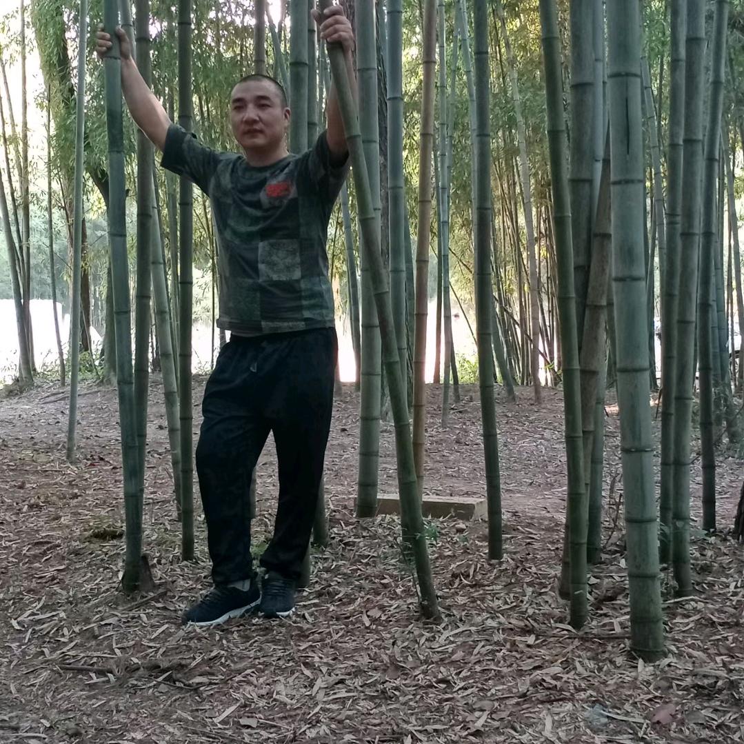 龙哥