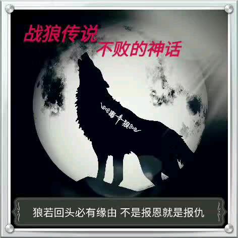 毒狼：