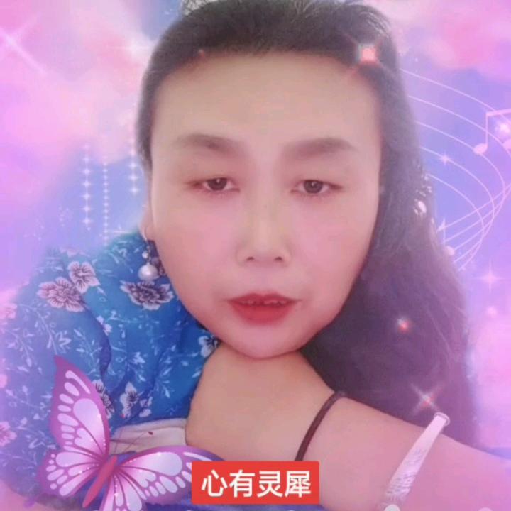 倪萍。