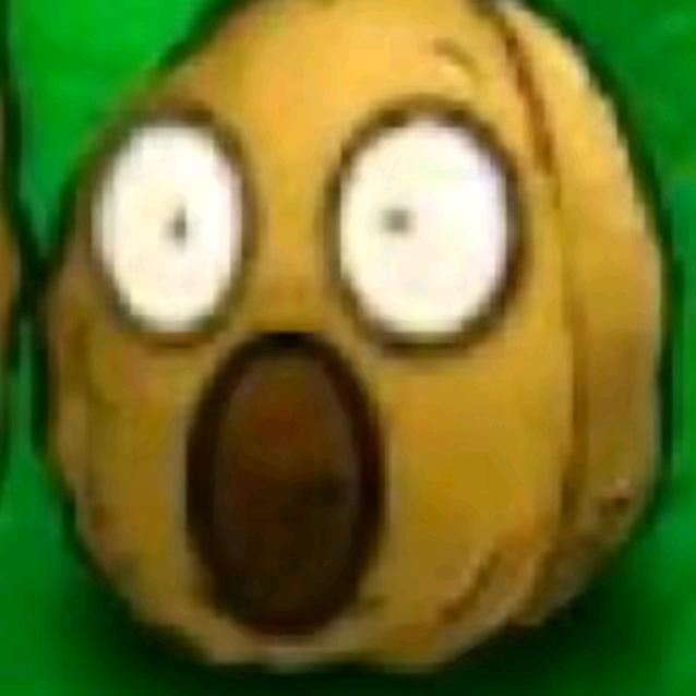 inn（大摄影师版）