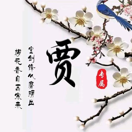 迎风而立