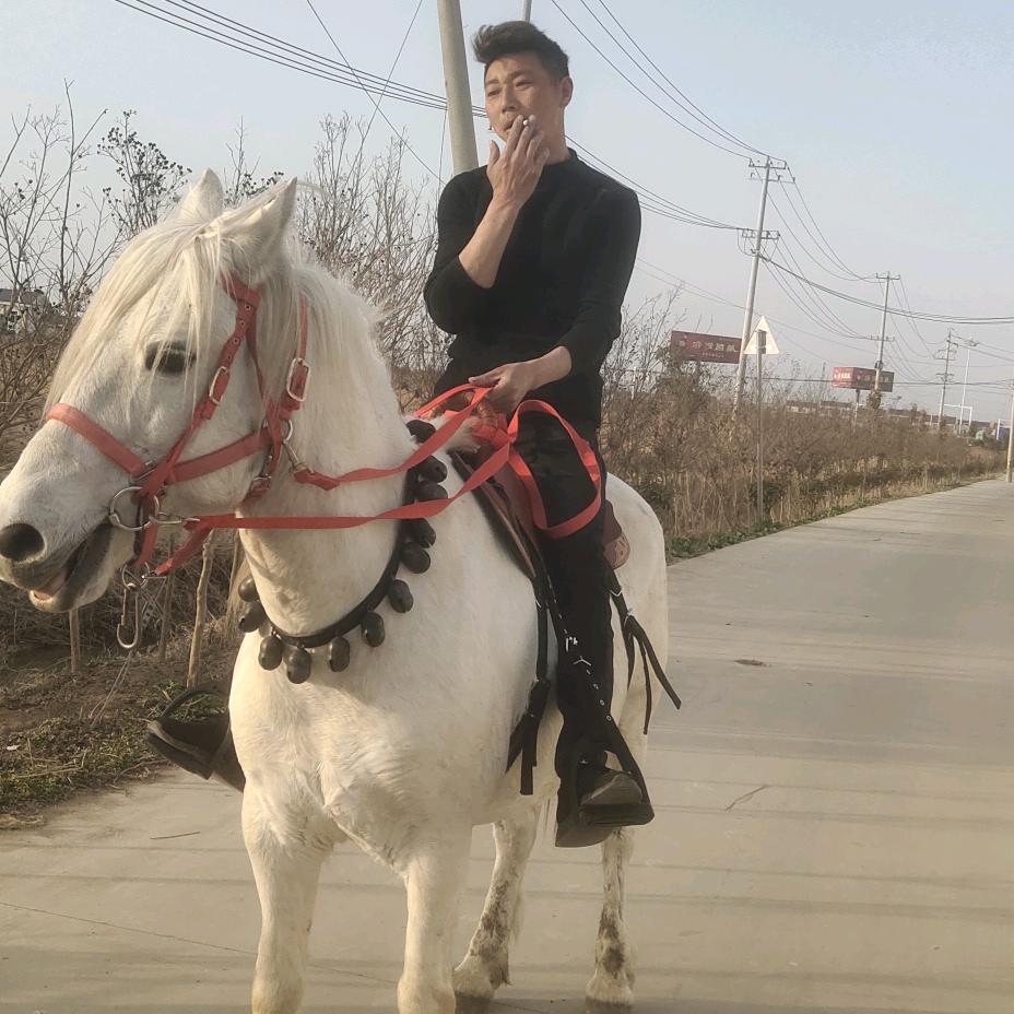 @灌南小马哥