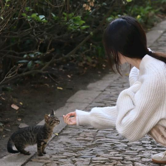 小胖同学
