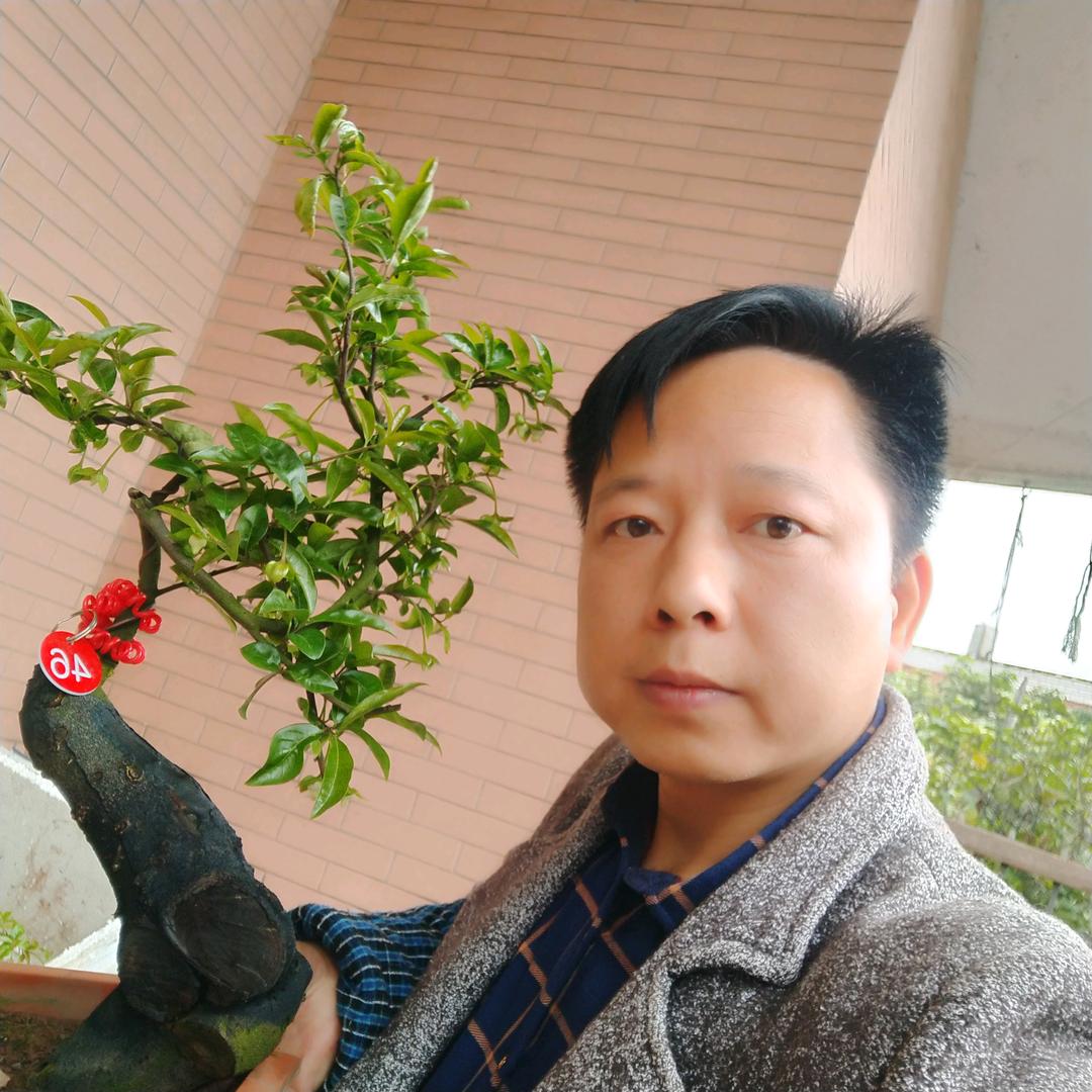 江安县铁清镇锦兴金弹子盆景经营部