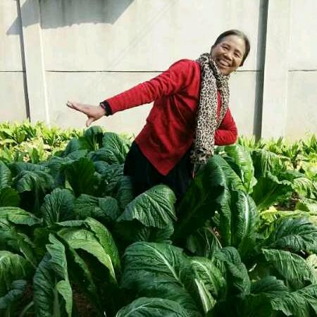 刘老师