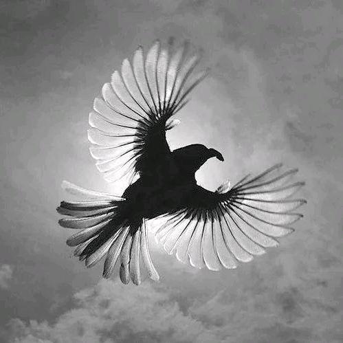 南充回收新旧二手木地板