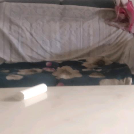 啦啦啦啦