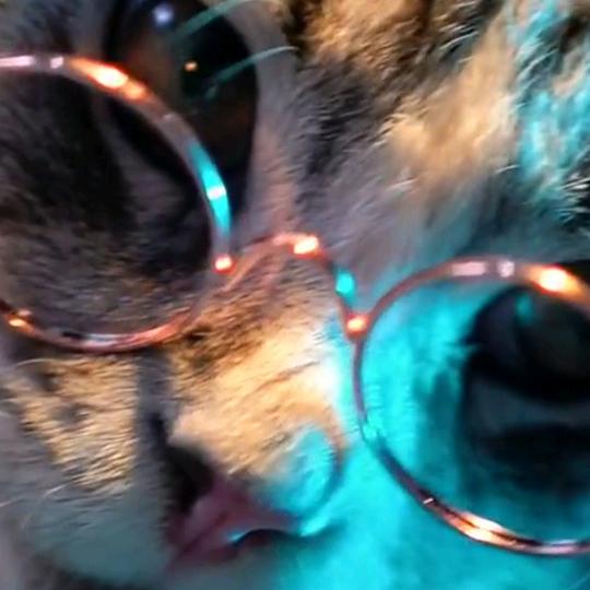 随遇而安(ღ˘⌣˘ღ)