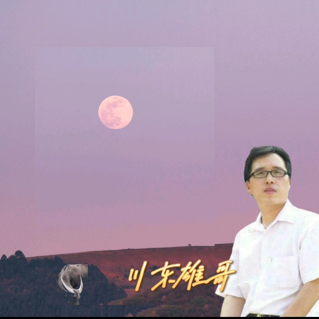 川东雄哥
