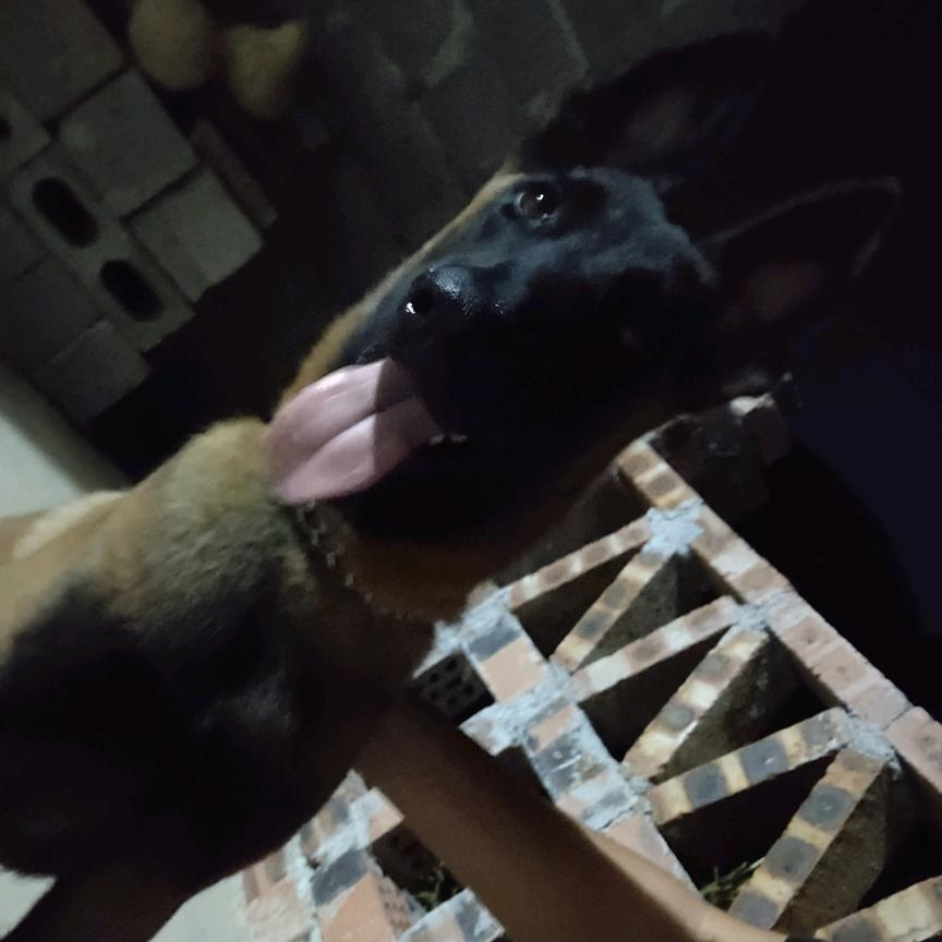 竿不离手，眼不离漂