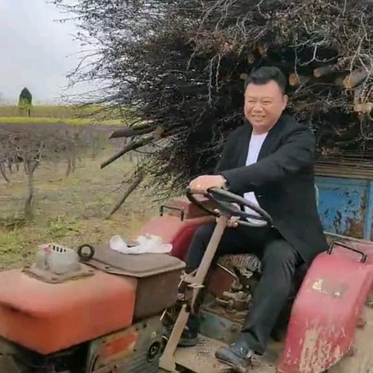 红堂助农《土豆哥》