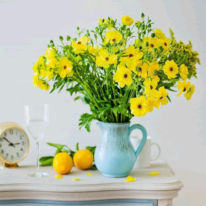 单身汉，寂寞是我的归宿，