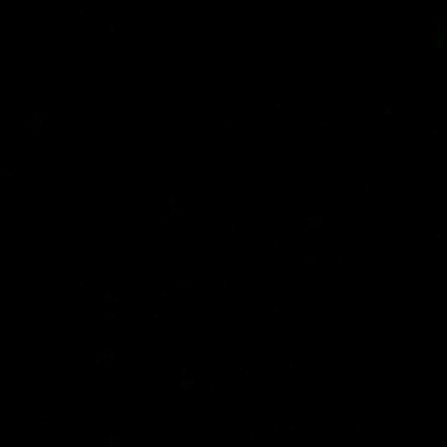 PDBS