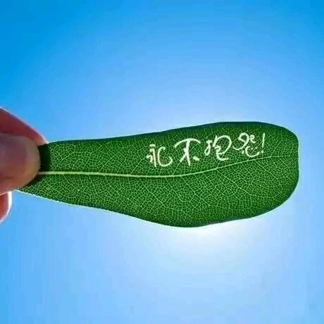 牙吃多了糖会疼