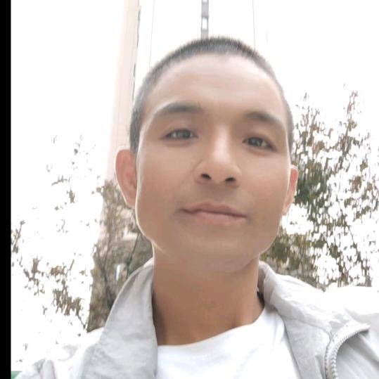 七皮狼