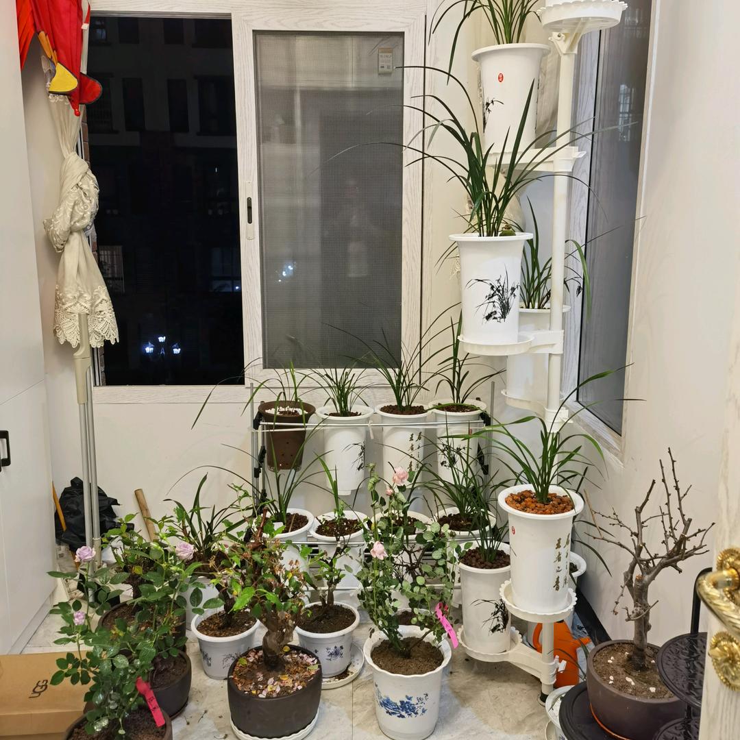 XX点灯