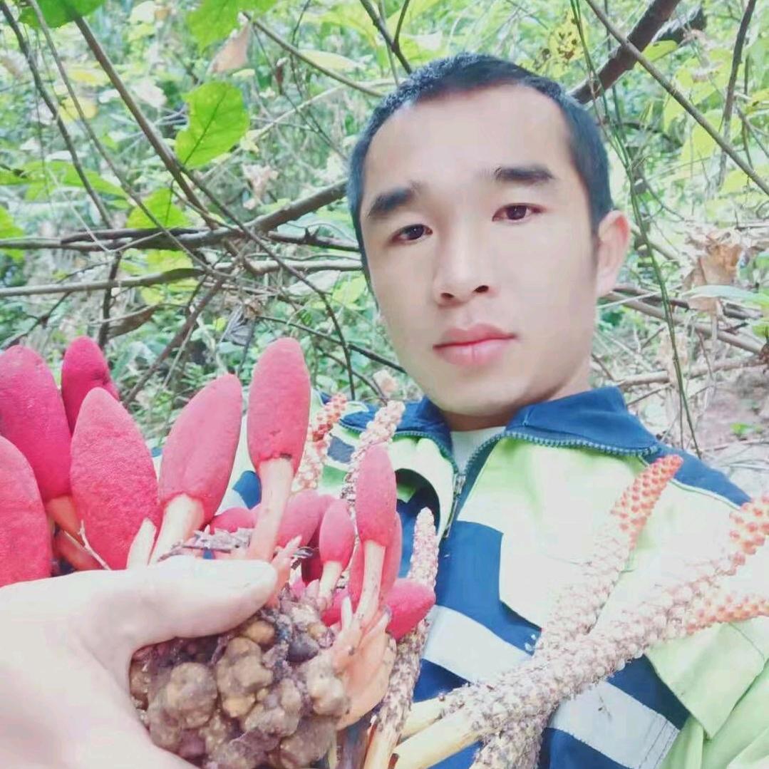 绿科