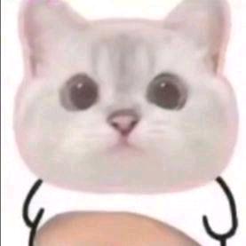 迟暮