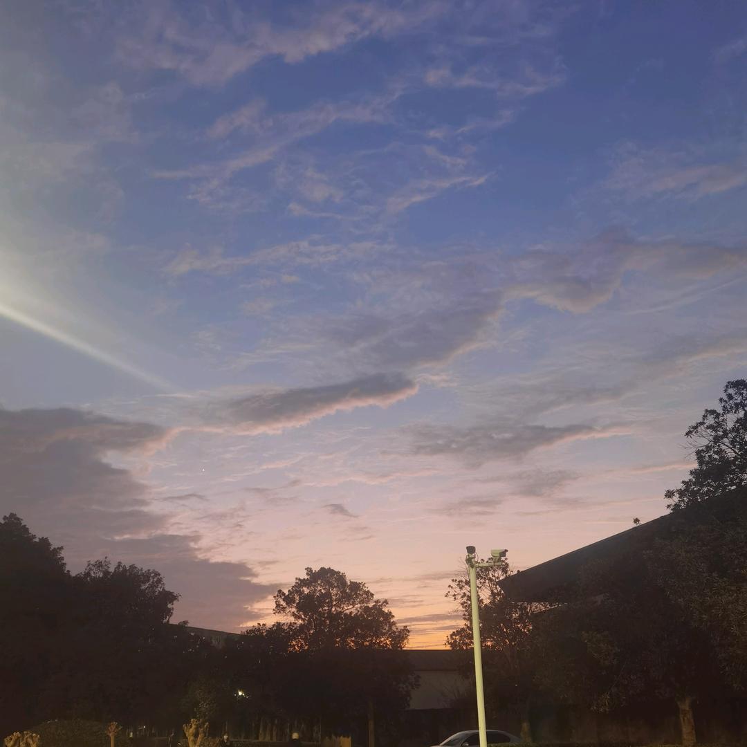 金金天天开心💐