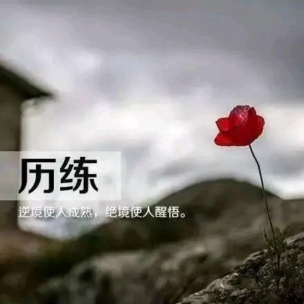 _永不言败★