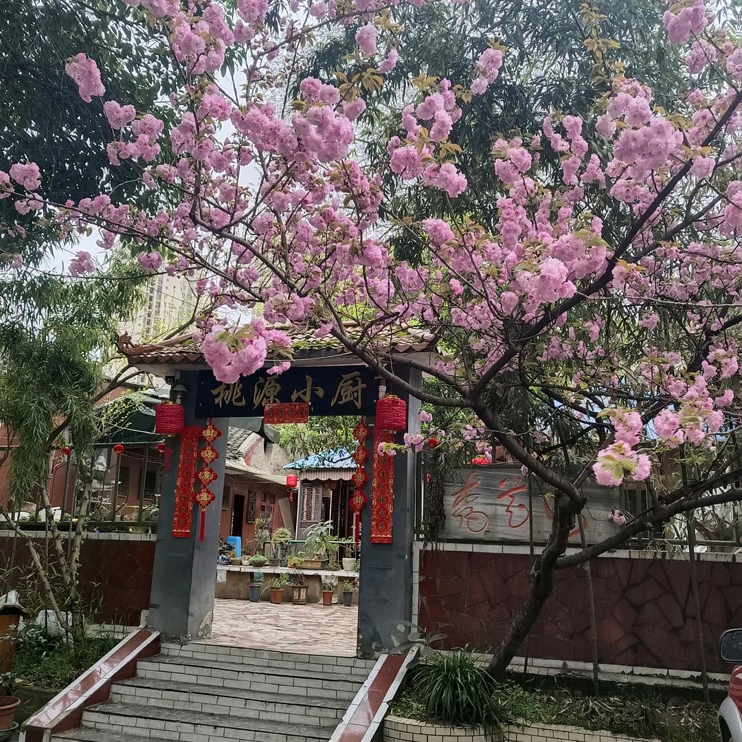 好这口(邹远)