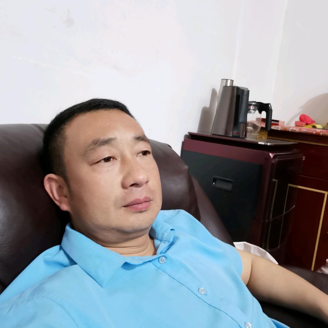 齐继超生猪调运