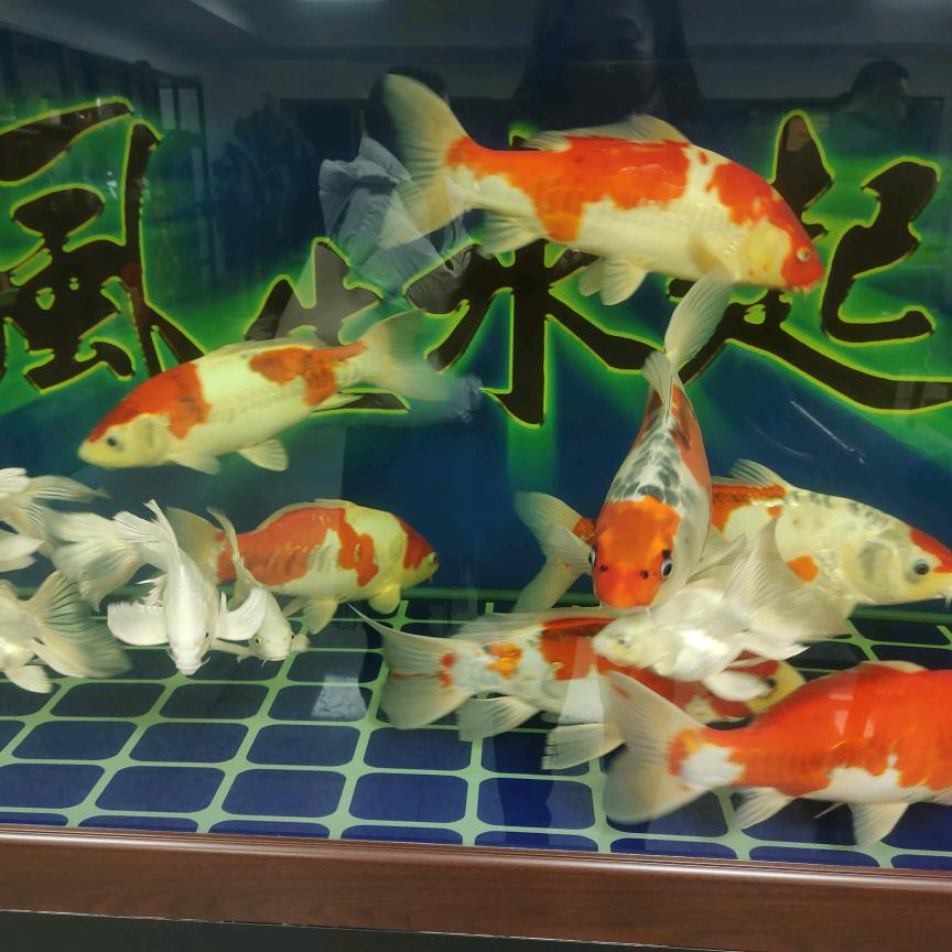 静雅～