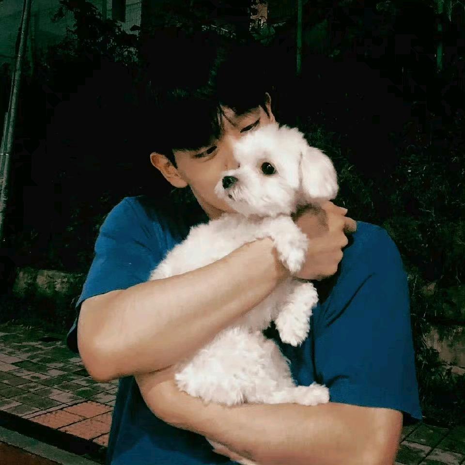 现代主义普通网友