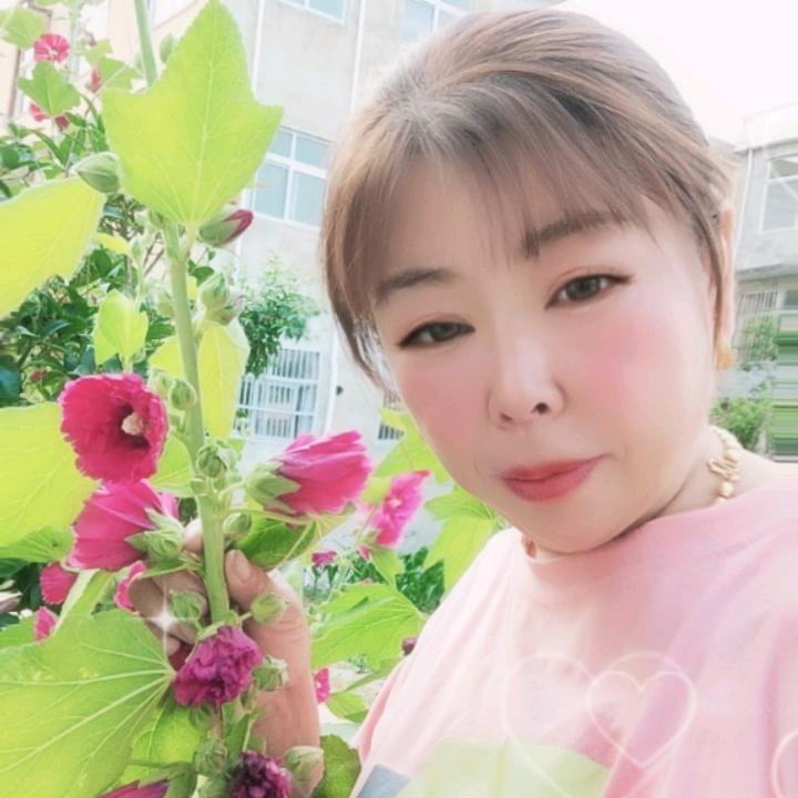 平安快乐蒲🍎🍎