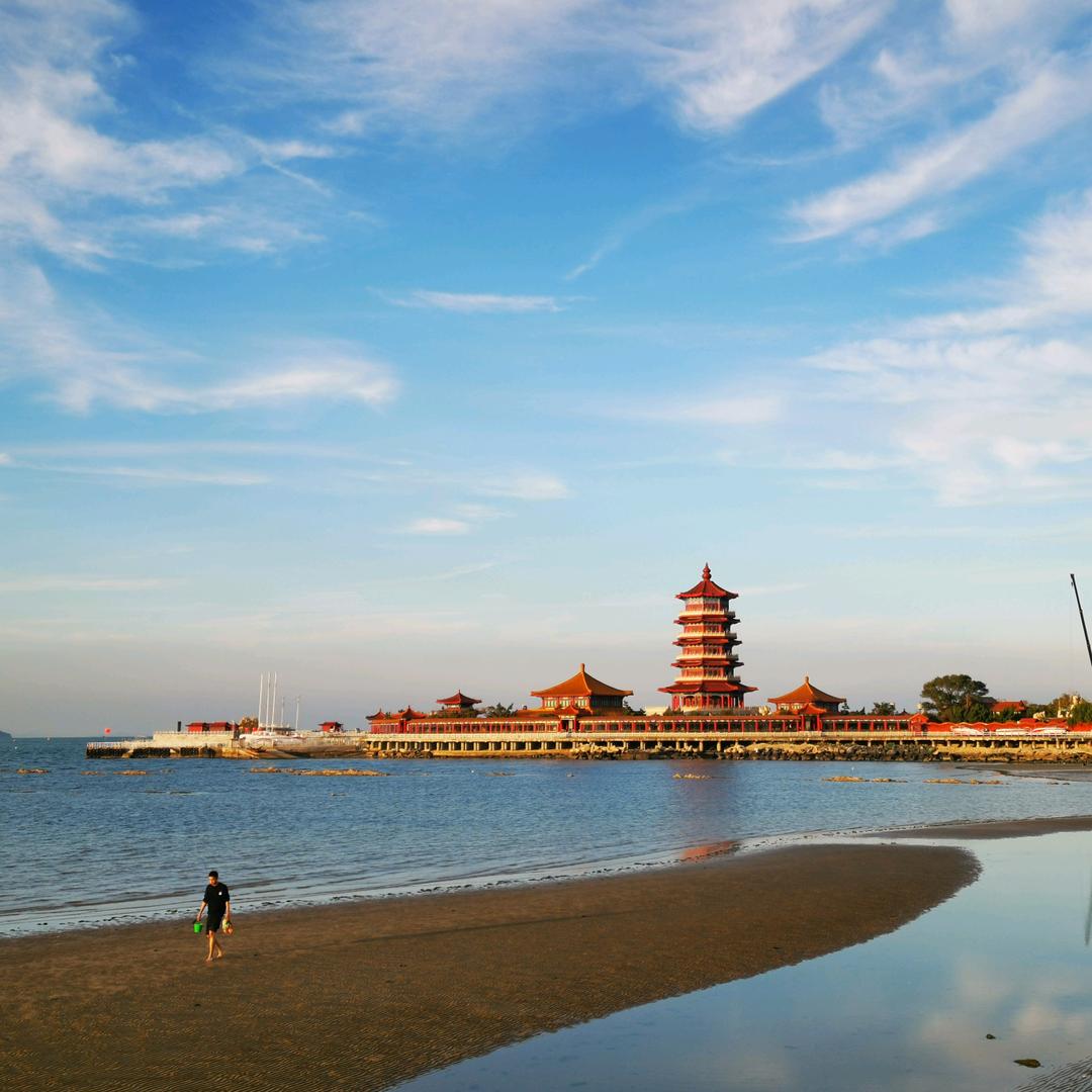 南阳枯木（自律版）