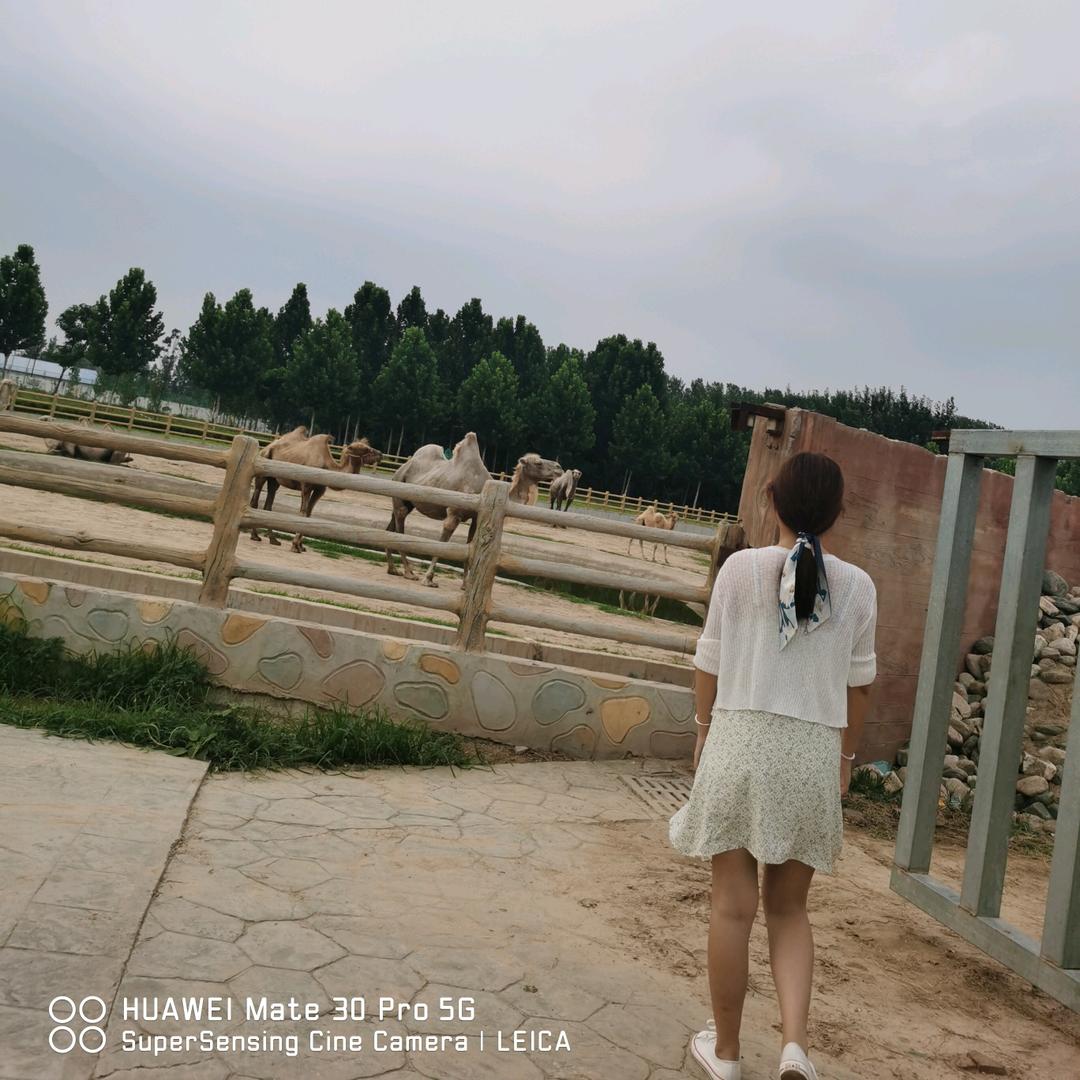 牛牛吖