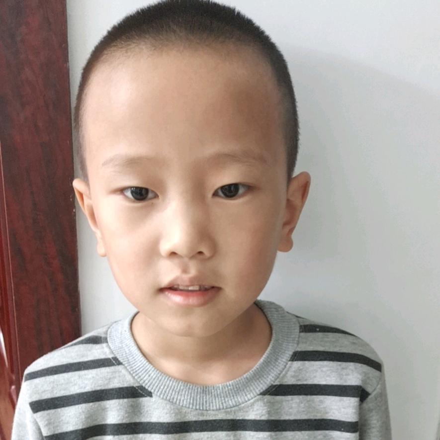 杨哥，鹏辉珍