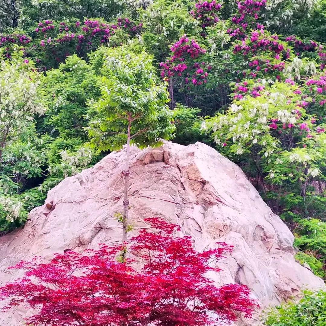 亮哥在农村7105