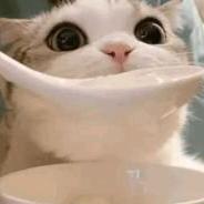 拥抱我或处决我