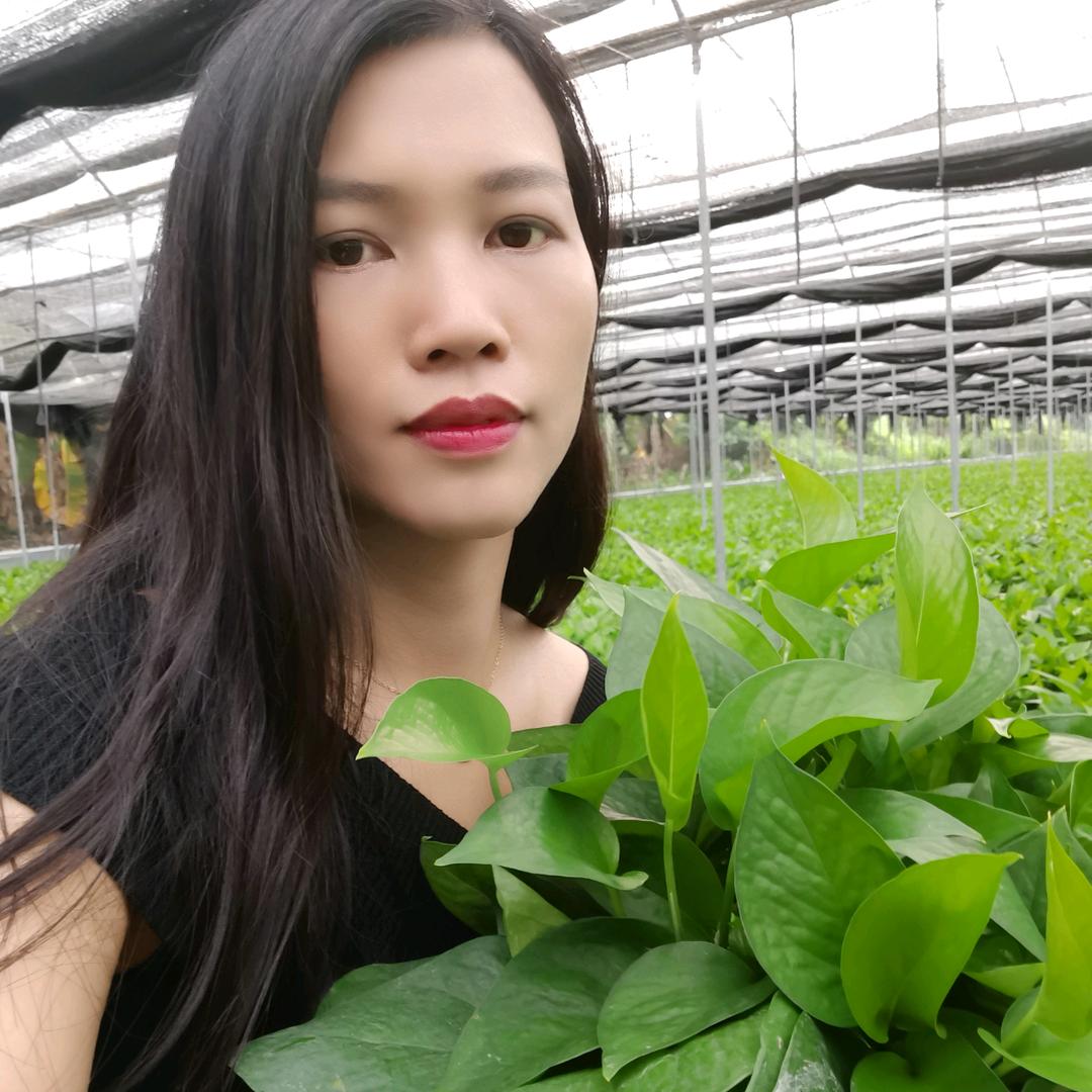 小玲花卉绿植园艺