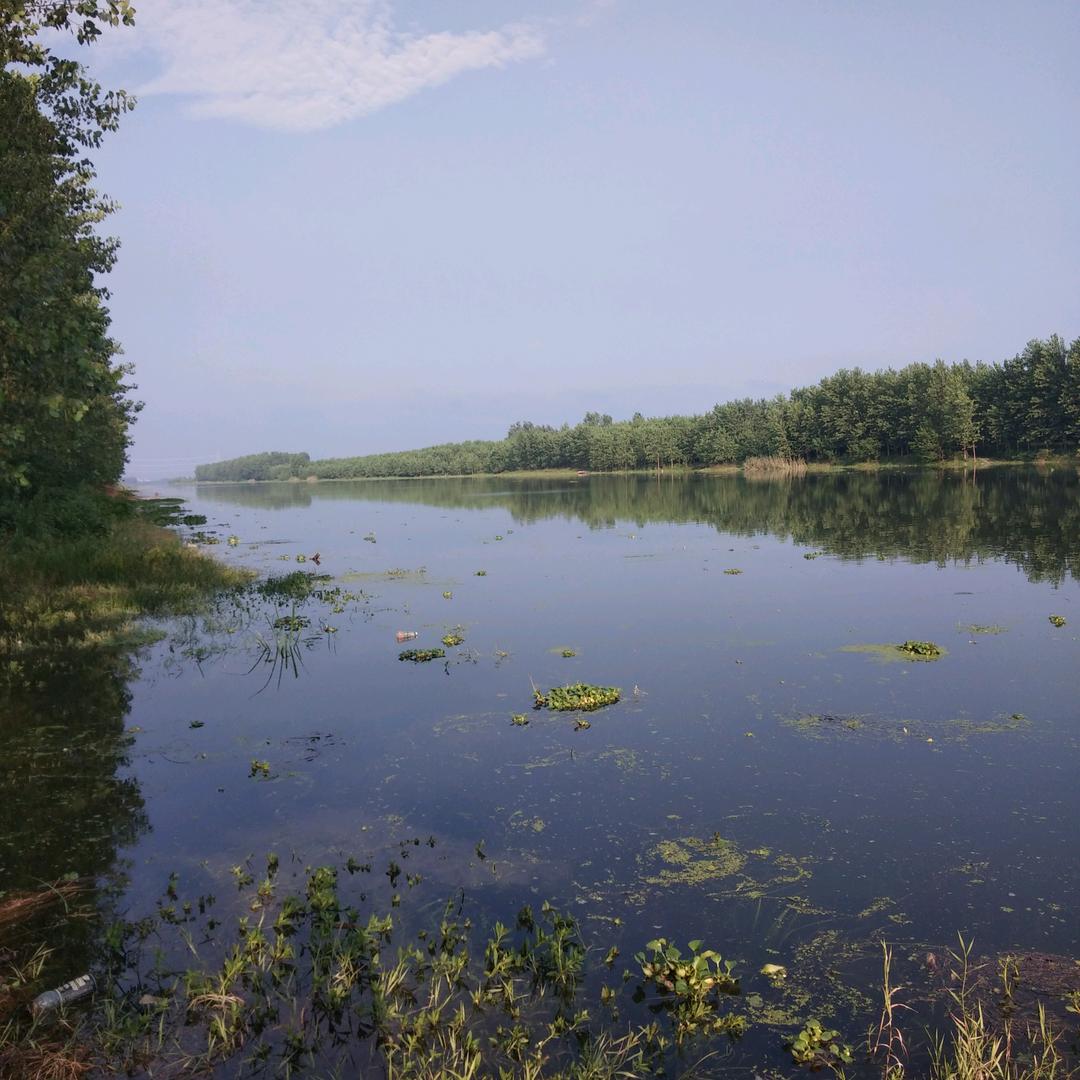 用户4665864590752茉莉清茶