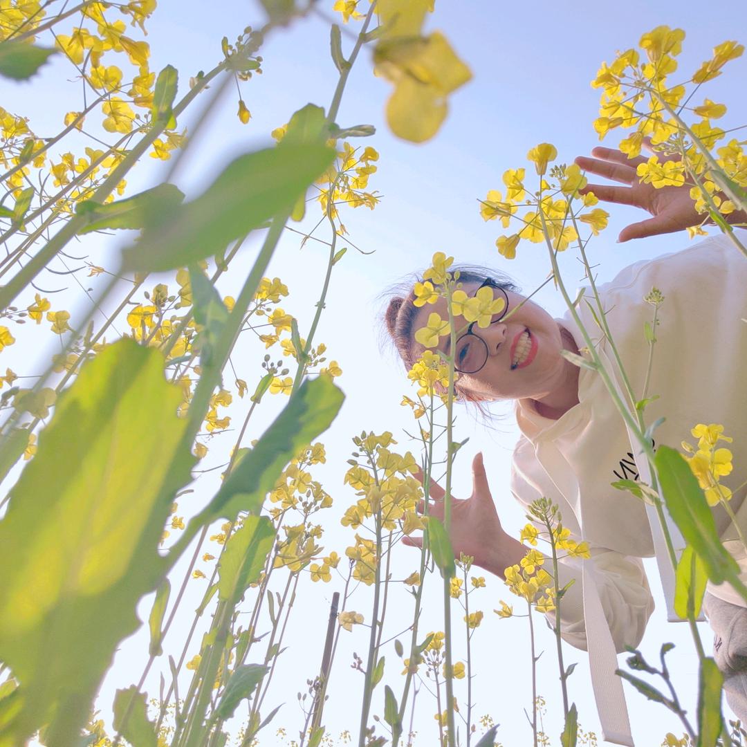 心随花开
