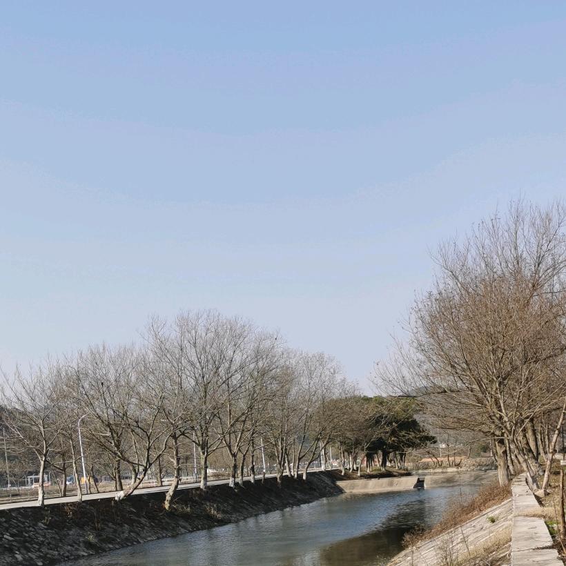 年度宝加活宝，带癫