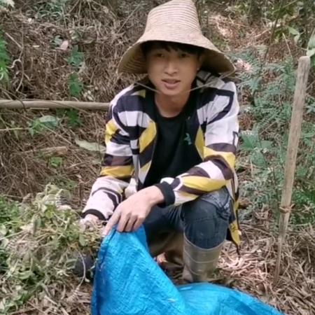 龙愉百草农业