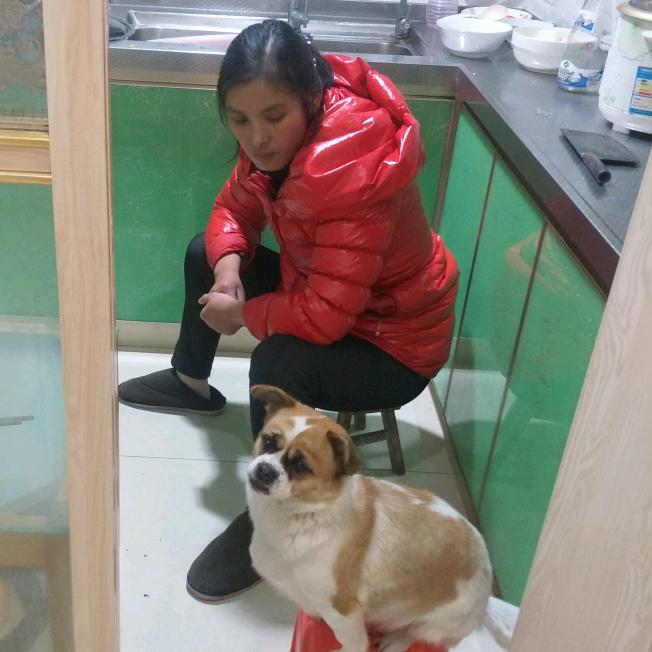 黄秀