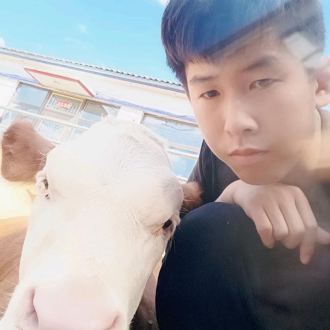 黄牛改良培训小程