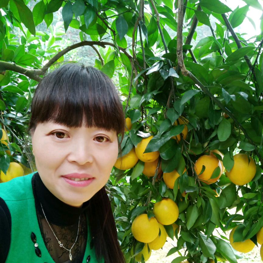 会昌县香橙商贸行