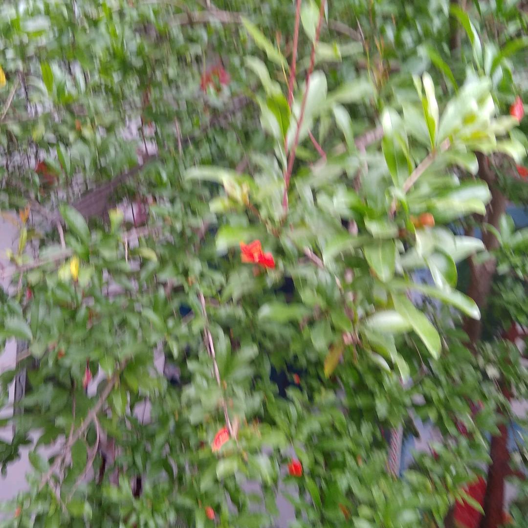 用户4349042848414王哥巨私聊