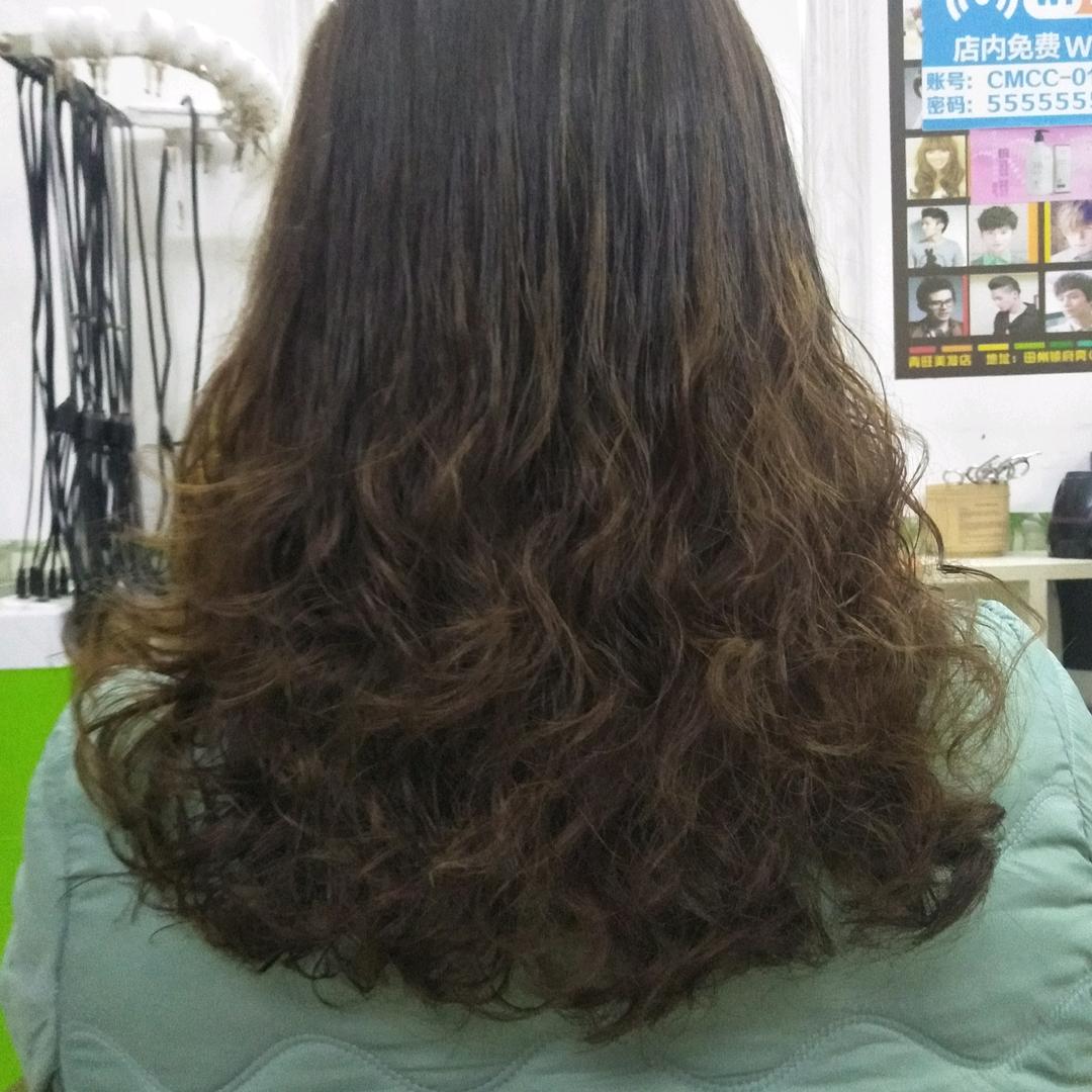 珊瑚岛